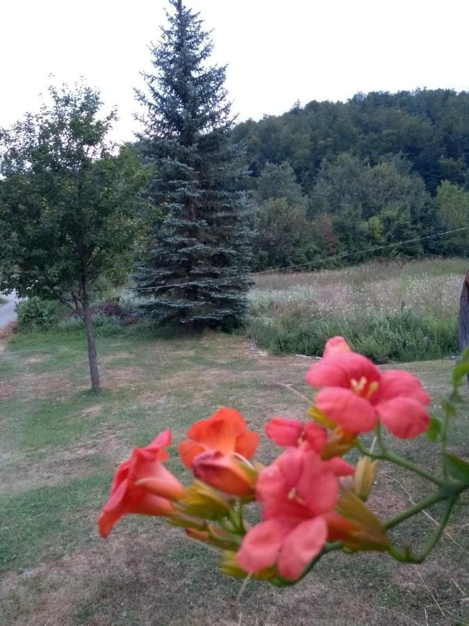 Apartman Sveti Rok Extérieur photo